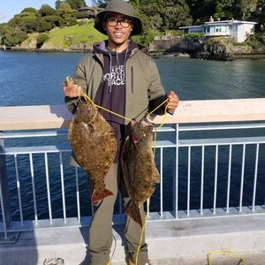 Meet your Posher, Dante